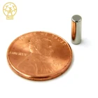 Cylinder Magnet Axial Magnetism Factory Price
