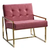 Contemporary Style Blush Pink Stainless Steel Gold Arm Chair, Relax Sofa
