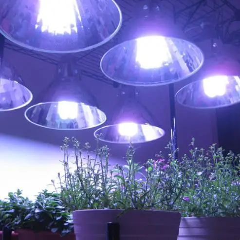 Multifunctional t5 reptile lamp with CE certificate