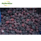 Frozen cultivate IQF berries blackberry fruit for export pass BRC safe product
