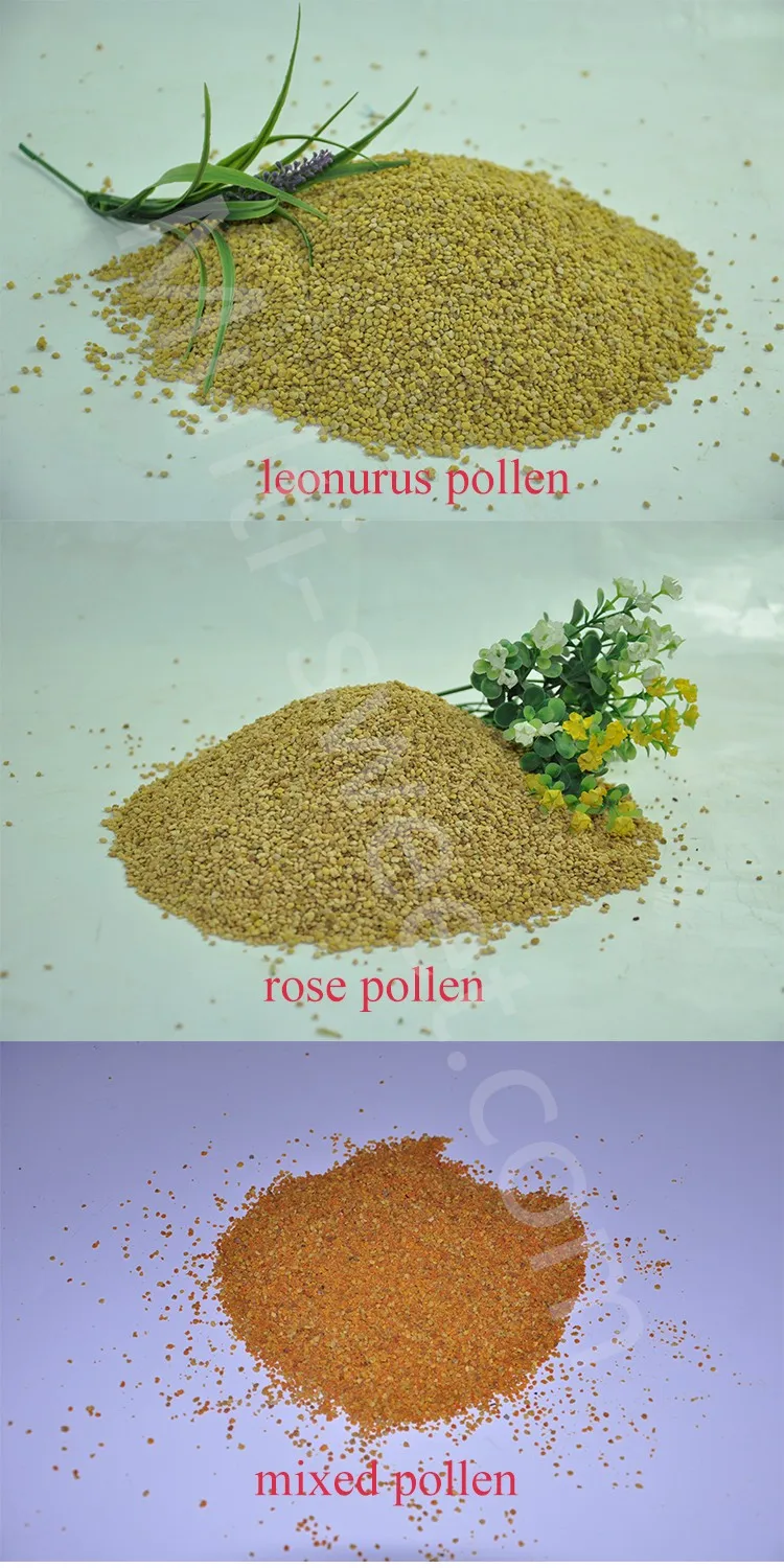 bee pollen02.jpg