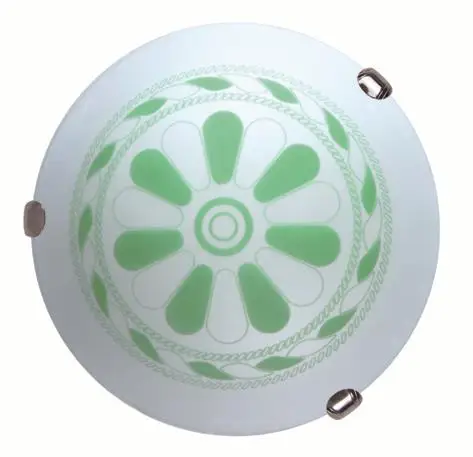 factory supply elegant body ceiling light, ceiling lights ip20 led with CE certificate
