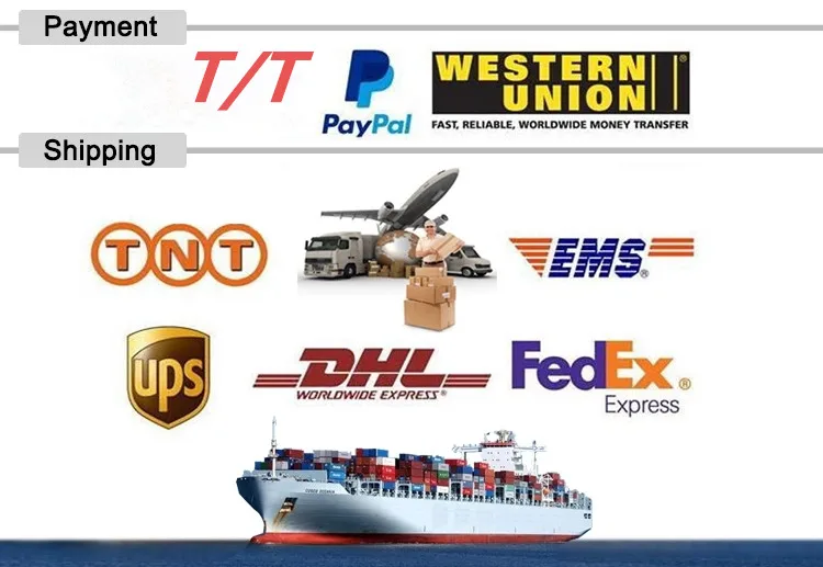 Payment & Shipping Way_