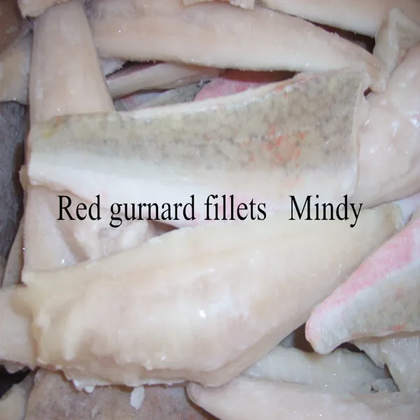 红色gurnard 鱼片
