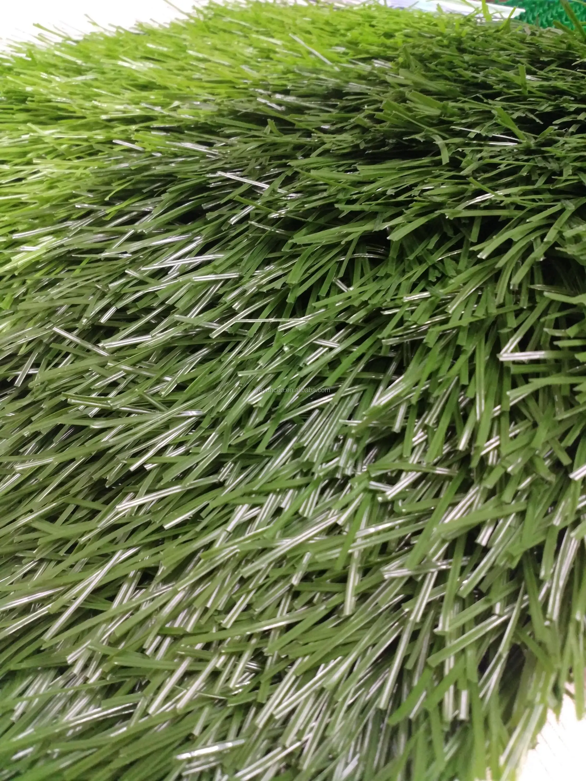 grass 3.jpg