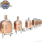 Brewery steam electric direct fired brewhouse system