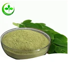 Hot sale organic moringa leaf powder , organic moringa powder