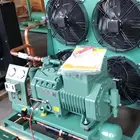 Bitzer R404A 10HP Air-cooled Condensing Unit 4PES-12Y