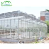 New Design Galvanized Steel Venlo Type Multi Span Glass Greenhouse With hydroponic system