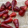 Manufacturer supply wholesale Chinese red pepper bullet chili