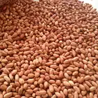 china good quality oil extractor peanuts