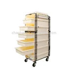 Beautiful Salon Equipment Trolley Working Trolley For Sale CB-5522