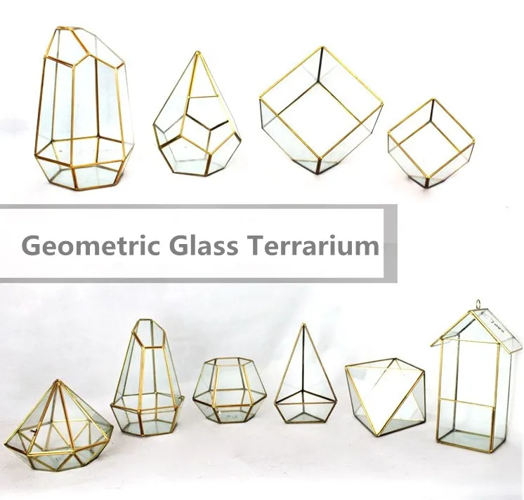 geo terrarium01.jpg