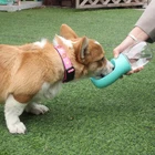Small plastic bottle pet products lover dog outdoor travel drinking water accessories