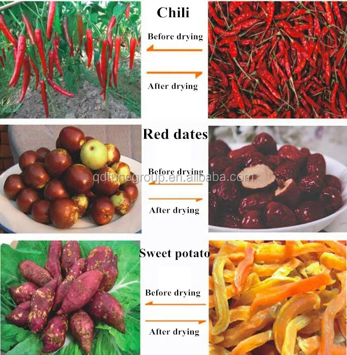 Drying box samples 2.jpg