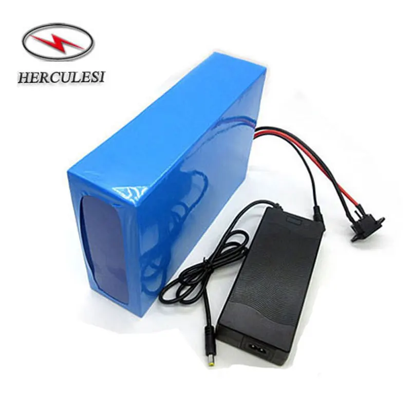 48 volt lithium ion battery for electric bike