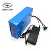 Rechargeable Electric Bike Li-ion 48V 20Ah Lithium Ion Battery Pack 48 Volt For Ebike