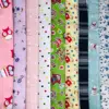 /product-detail/100-cotton-flannel-fabric-textile-cartoon-printing-fabric-for-baby-blanket-flannel-shirt-china-supplier-62135232752.html