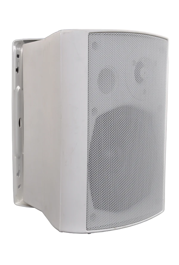 Accuracy Pro Audio RA1109T Active Outdoor Wall Speakers, View active