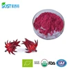 Top quality pure natural roselle powder extract