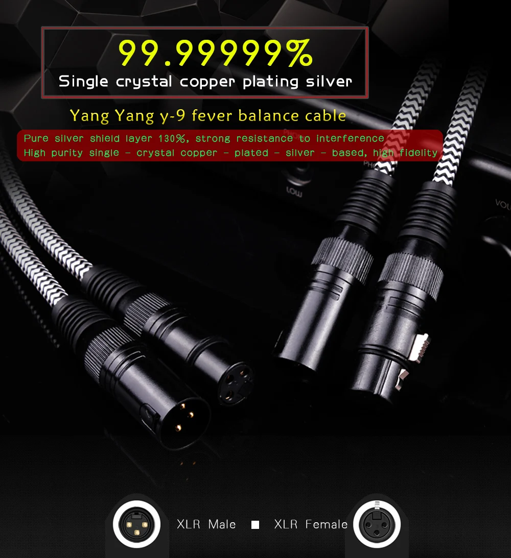 Y-9_01