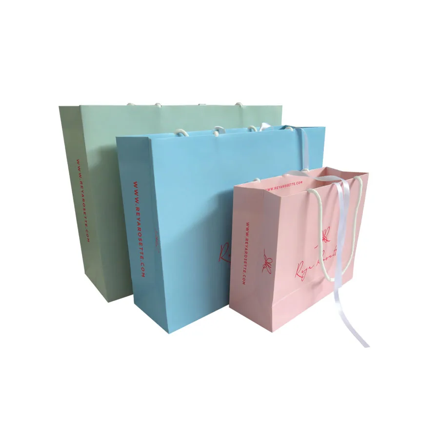 nylon rope handle color printing elegant rigid paper bag for
