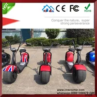 Sports Entertainment Outdoor Sports City Scooters