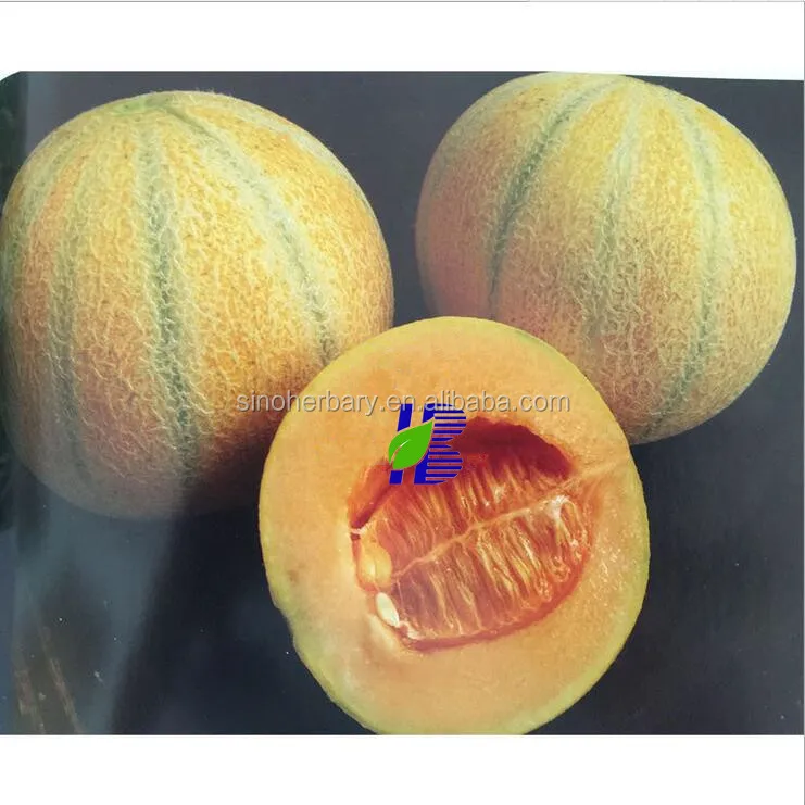 1 cantaloupe melon seeds