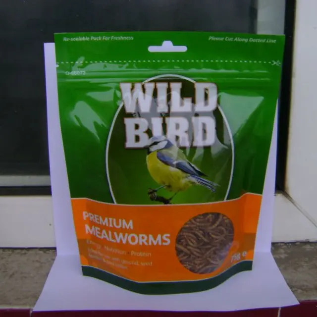 yellow mealworm