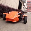 /product-detail/direct-selling-eec-250cc-reverse-trike-for-sale-ztr-trike-roadster-60735969454.html