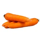 Wholesale Fresh Red Carrot For Exporting With Lower Price