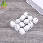 PVC plastic quail egg packing tray /plastic box packaging for 12/24/30 quail eggs