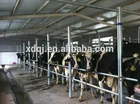 Milking Machine Milking Machine 2 Buckets Full Automatic Goat Milking Machine Group