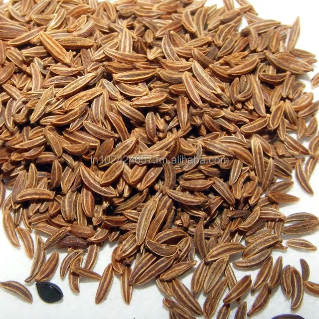 caraway seeds india