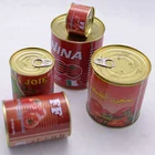 Delicious Best Ketchup Aseptic Tomato Puree