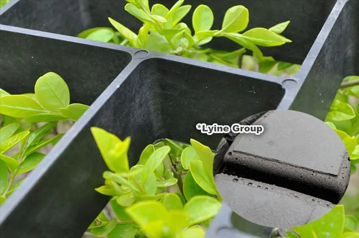 plastic concrete garden pavement stone Mould.jpg