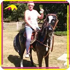 KANO0282 Kids Attraction Customized Fiberglass Horse Statue