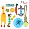 Dog Tooth Cleaning Chew Toy Pet Bell Crinkle Balls Feather Wand Cat Scratcher Interactive Toy Set For Large Breed Dogs
