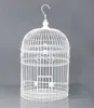 galvanized and PVC coated bird cage by chinese design