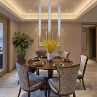 Hanging Adjuststable Modern Indoor Pendant Lighting
