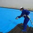 Roof Waterproofing Projects Spray Polyurea Waterproof Coating