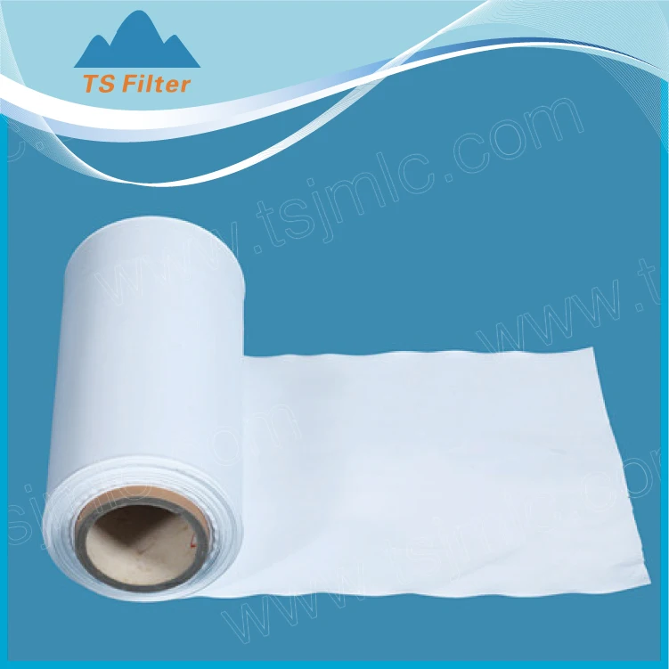 Ts Filter 0.22 Micron Hydrophilic Ptfe Membrane Roll Buy Micro Filter