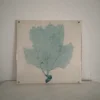 Famous pop modern abstract uv printing acrylic paint wall art