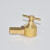 /product-detail/best-quality-brass-button-head-grease-gun-quick-coupler-62033167434.html