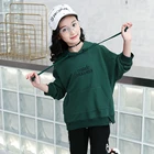 Wholesale Cotton Fabric Girls Hooded Embroidered Shirt Kids Hoodies