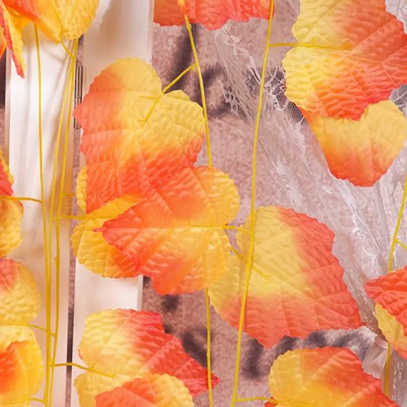 HTB1jouMNpXXXXbdXXXXq6xXFXXXO_