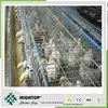 /p-detail/Alibaba-chine-volaille-mat%C3%A9riel-agricole-pour-poulets-de-chair-cage-500009974923.html