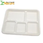 Lunch Tray Lunch Tray Hotsale Biodegradable Compostable 5 Compartments Sugarcane Lunch Tray