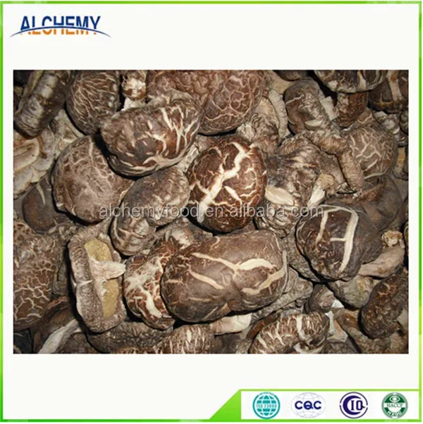 best quality dried mushroom for hot sale and best selling dried