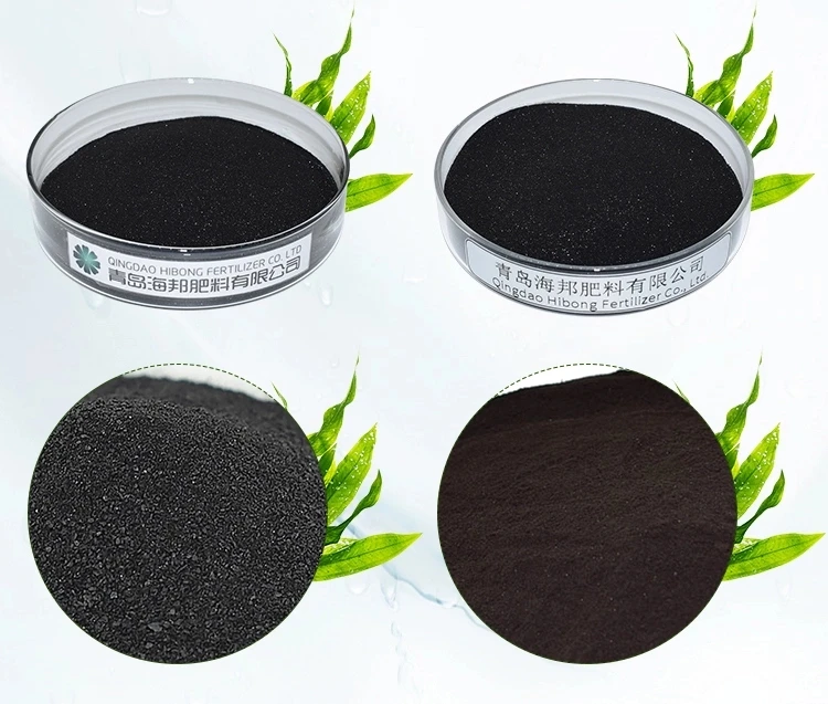 Organic Nutrient Powder Seaweed Extract